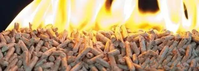 生物颗粒机 生物颗粒机